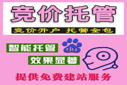 SEM投放案例：打造高转化率广告